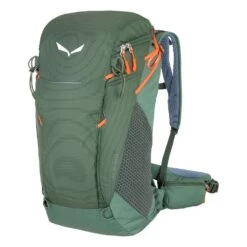 Salewa Alp Trainer 25 Rucksack (duck-green)
